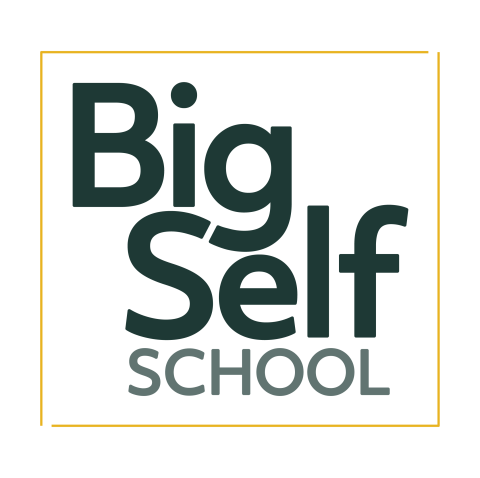 Big Self School Big Self School logo