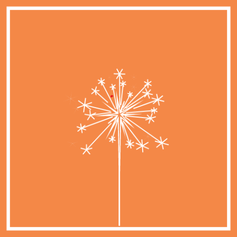 Sparklight Strategies Sparklight Strategies