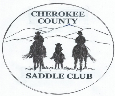 Two adults and one child on horses looking at mountains