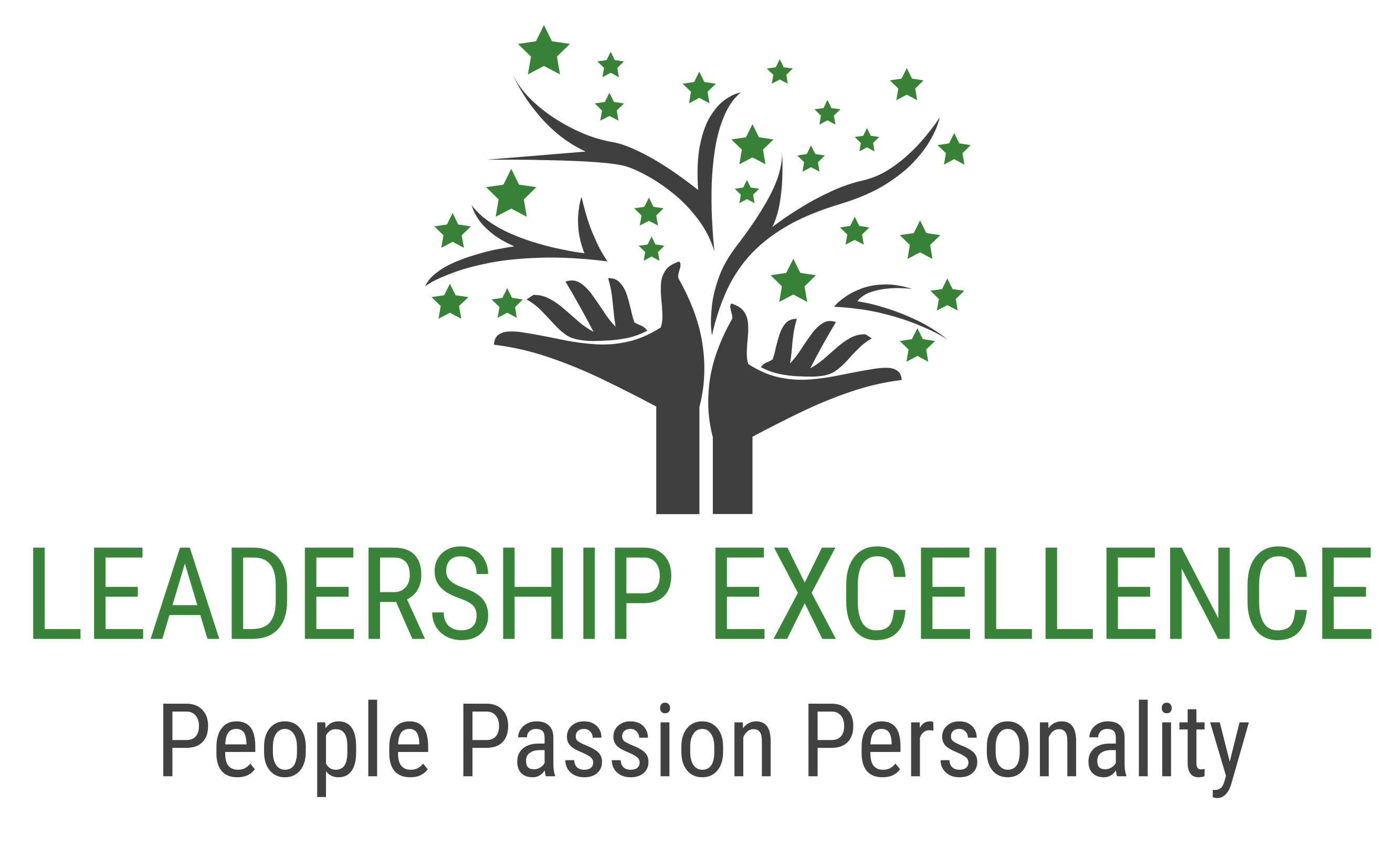 Leadership Excellence LLC North Carolina Center for Nonprofits